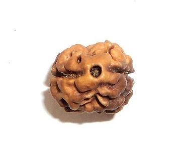 लकड़ी के 2 मुखी गोल आकार के भूरे रंग के रुद्राक्ष बीड
