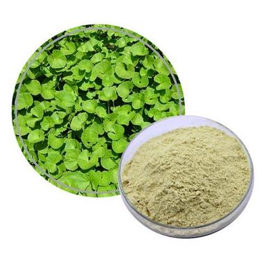 Triterpenes 10%-40% Gotu Kola Extract Powder Purity(%): 100
