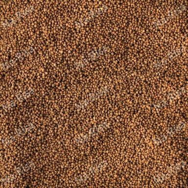 Rubber Whole Natural Perilla Seeds Contains Omega 3 And 6
