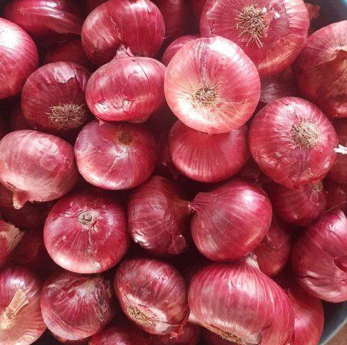India Cool Fresh Red Onion, For Food, Net Bag