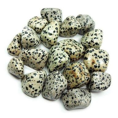 Dalmatian Jasper Tumbled Stone For Jewellery