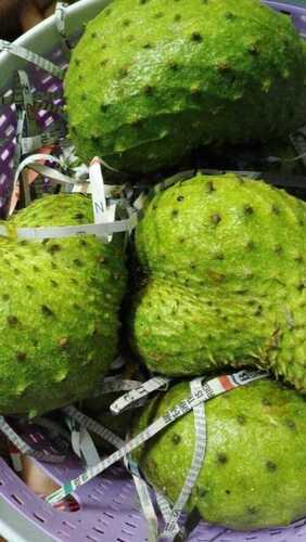 Farm Fresh A Grade Soursop Fruit