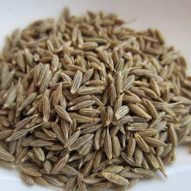 Cumin Seed