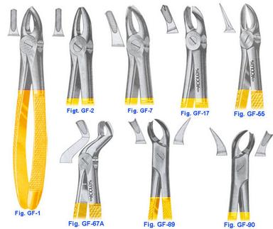 Manual Stainless Steel Upper Molars Forceps