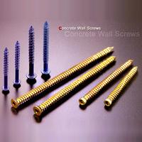 Concrete Wall Screws