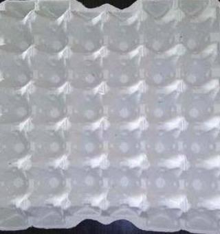 Paper Pulp Egg Trays
