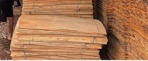 Eucalyptus Rotary Cut Core Veneer Core Material: Harwood