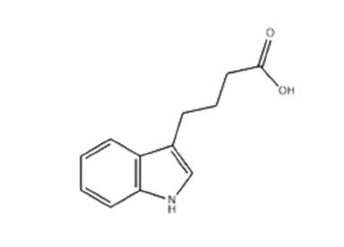 Indole 3 Butyric Acid - IBA