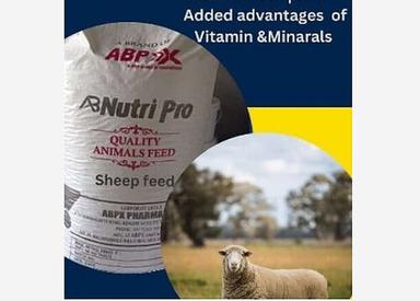 Free From Impurities Easy To Digest Sheep Feed