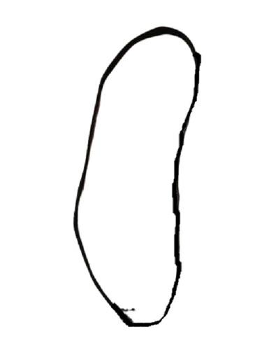 Main Transport Belt