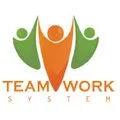 TWS TEAMWORK SYSTEM INDIA PRIVATE LIMITED
