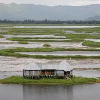 Imphal