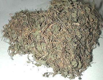 Gotukola (Centella Asiatica) Ingredients: Herbal Extract