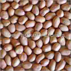 Groundnut Kernels