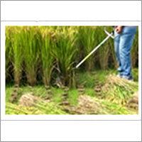 Mini Rice Harvester Application: Agriculture
