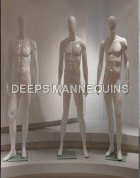 Male Mannequins Age Group: Adults