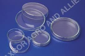 Glass Petri Dishes