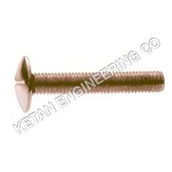 Polished Special Screw With Nut