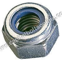 Durable Ss Nylock Nuts