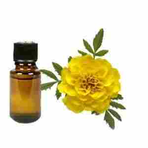 Tagetes Oil