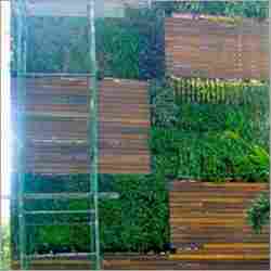 Green Wall Vertical Gardening