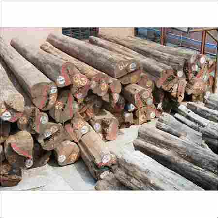 North American Teak Wood Logs