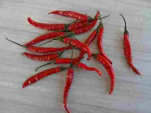 Dry Red Chilli From Mp