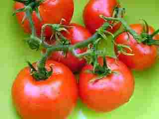 Tomatto  seed oil