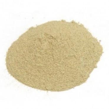 Freeze Dried Bhumi Amalaki Powder Grade: A Grade