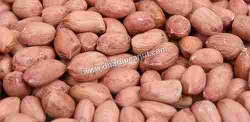 Unblanched Peanuts