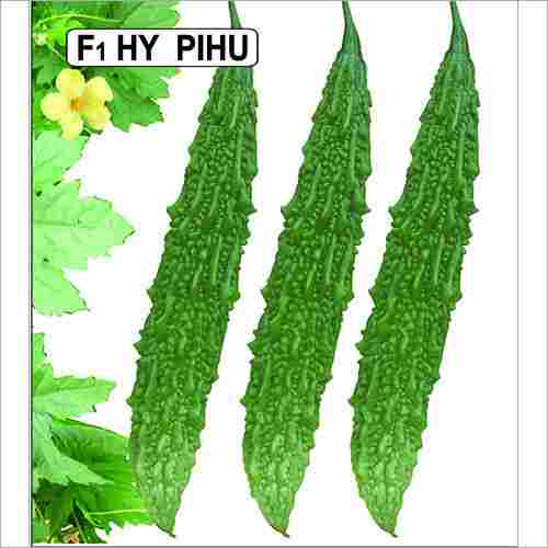Pihu Seeds