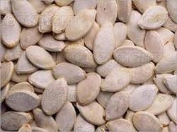 Brown Musk Melons Seed