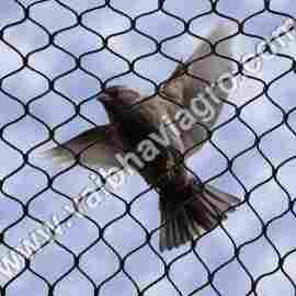 Pigeon Protection Net
