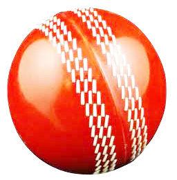 PVC Cricket Training Ball