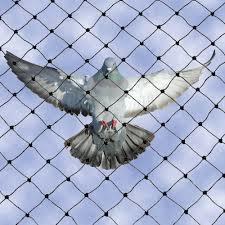 Hdpe Anti Bird Repellent Net