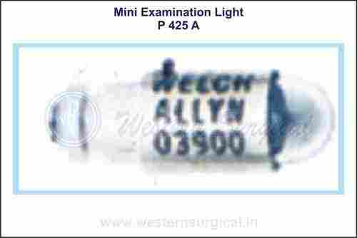 0425 Mini Examination Light