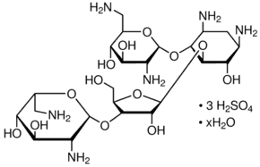 Gentamicin sulfate salt hydrate