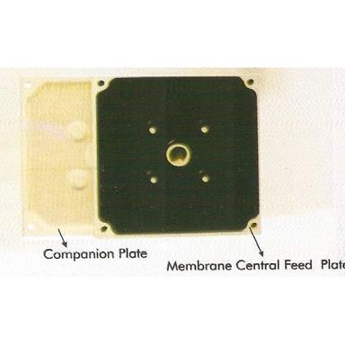 Cream Membrane Plates