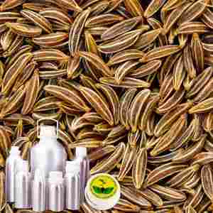 Caraway Seed Oil