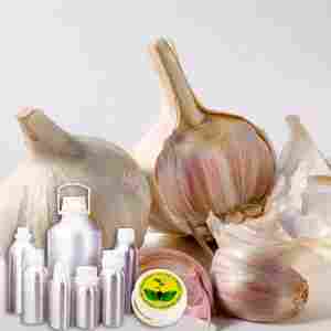 Garlic CO2 Extract Oil