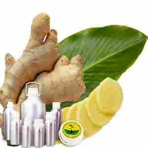 Wildcrafted Ginger Oil