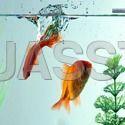 Aquarium-Fish Power: Electric Watt (W)