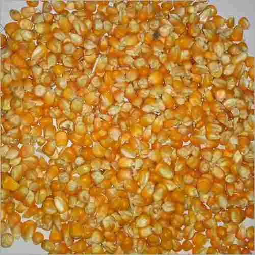 Raw Maize