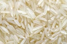 Common White Rice