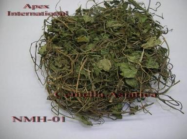 Centella Asiatica Ingredients: Herbs