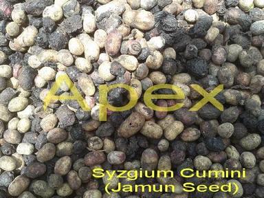 Herbal Product Black Plum Seeds Powder