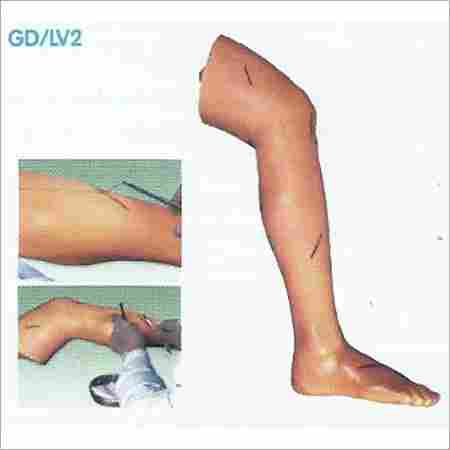 Advanced Surgical Suture Leg