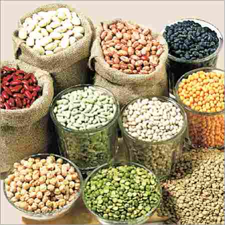 All Types of Pulses