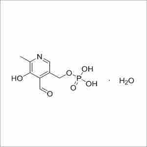 Pyridoxal 5 Phosphate