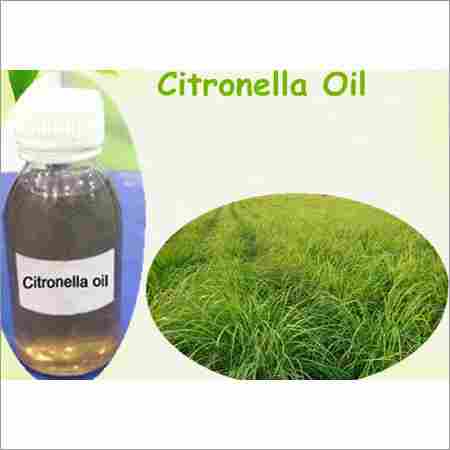 Citronella Grass Oil